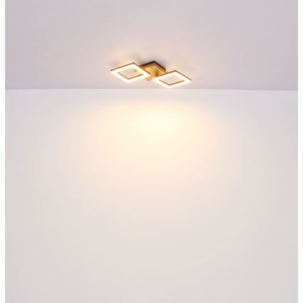 Globo - Lampadario LED a plafone LED/18W/230V