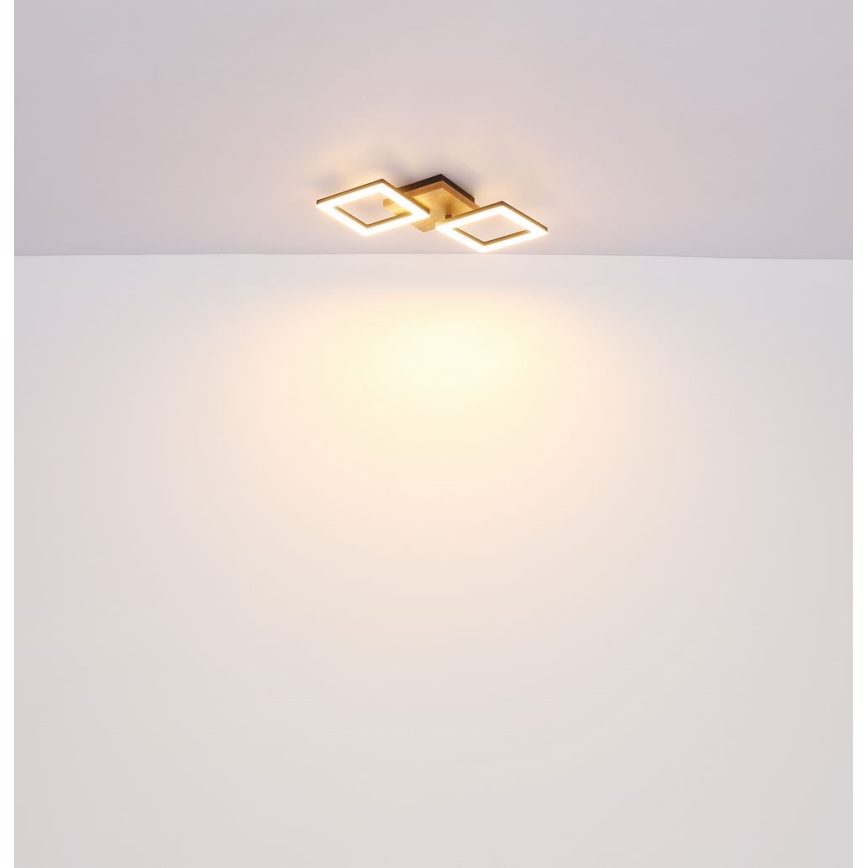 Globo - Lampadario LED a plafone LED/18W/230V