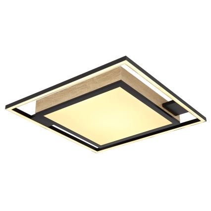 Globo - Plafoniera LED dimmerabile LED/40W/230V 2700-6500K + telecomando