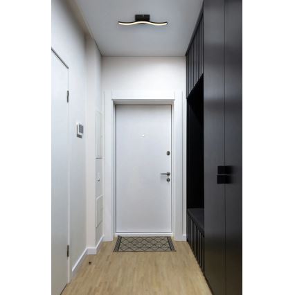 Globo - LED-Anbauleuchte LED/6W/230V 3000K schwarz