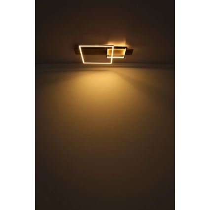 Globo 67289D1 - Plafonnier LED VANNI LED/24W/230V 40x75 cm marron/noir