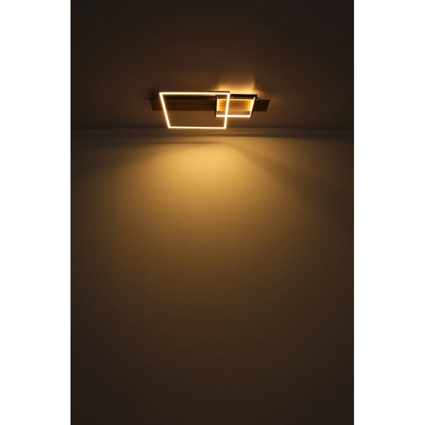Globo 67289D1 - Plafonnier LED VANNI LED/24W/230V 40x75 cm marron/noir