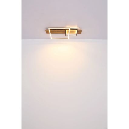 Globo 67289D1 - Plafonnier LED VANNI LED/24W/230V 40x75 cm marron/noir