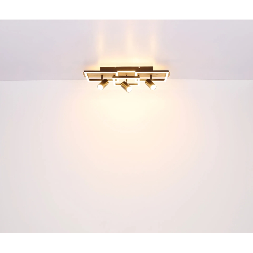 Globo - LED Deckenleuchte LED/48W/230V + 3xGU10/5W 3000K 27x72 cm