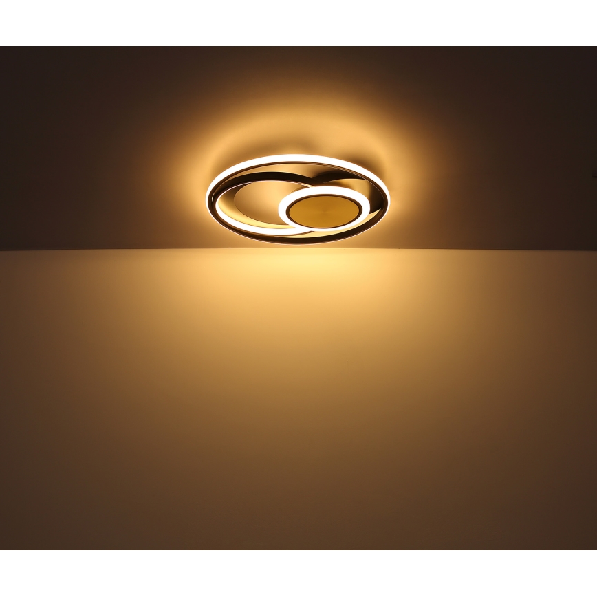 Globo - Plafoniera LED LED/24W/230V