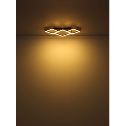 Globo - Plafoniera LED LED/24W/230V