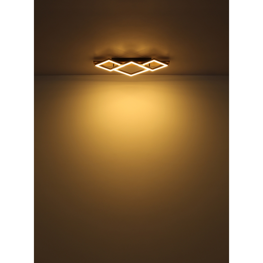 Globo - Plafoniera LED LED/24W/230V