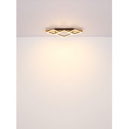 Globo - Plafoniera LED LED/24W/230V