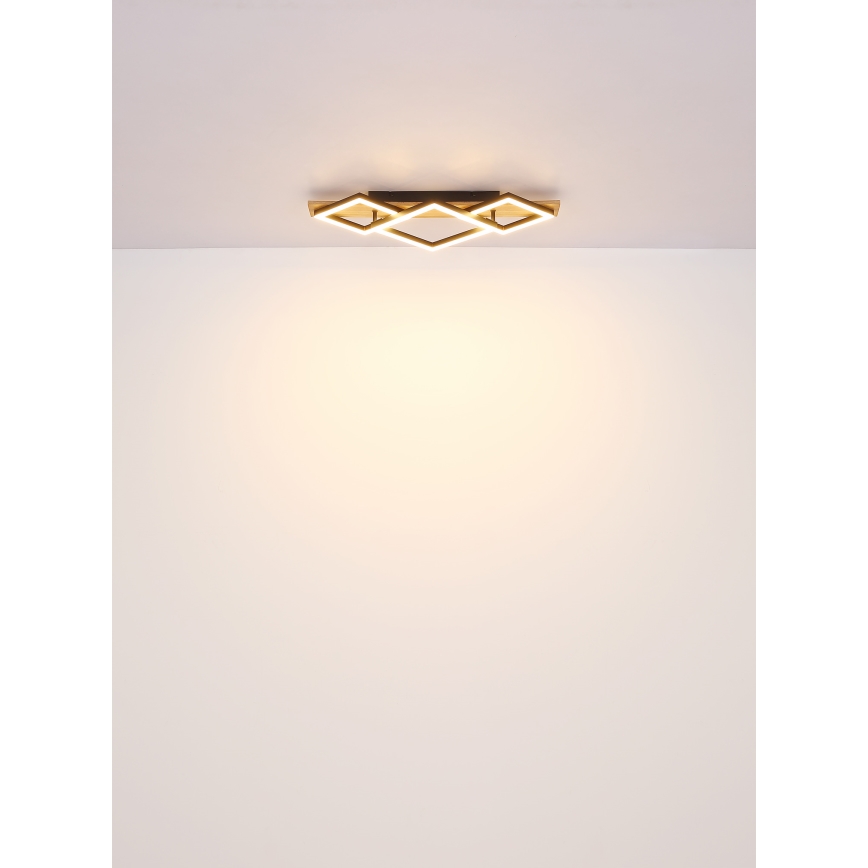 Globo - Plafoniera LED LED/24W/230V