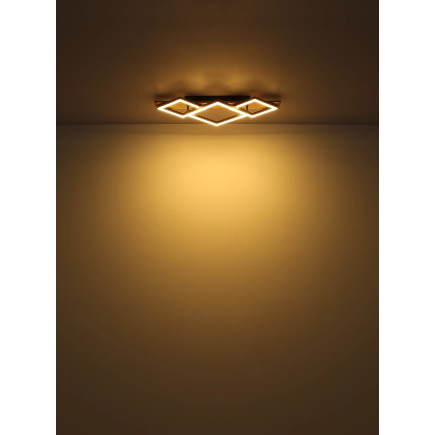 Globo - Plafoniera LED LED/24W/230V