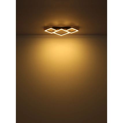 Globo - Plafonnier LED/24W/230V