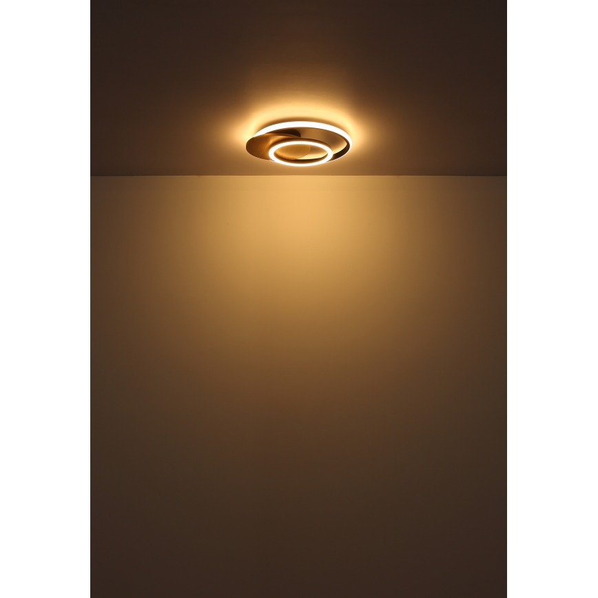 Globo - Plafoniera LED LED/24W/230V nero