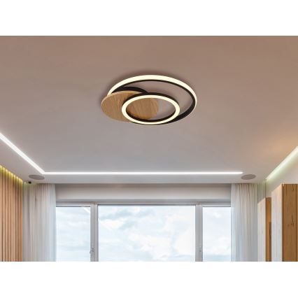 Globo - Plafonnier LED/24W/230V noir