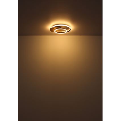 Globo - Plafonnier LED/24W/230V noir