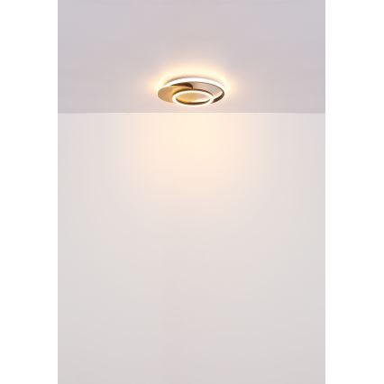 Globo - Plafonnier LED/24W/230V noir