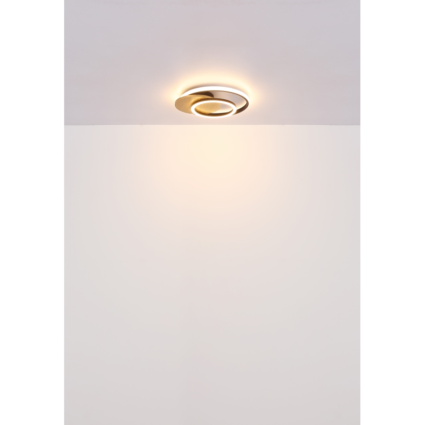 Globo - Plafonnier LED/24W/230V noir