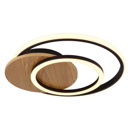 Globo - Plafonnier LED/24W/230V noir