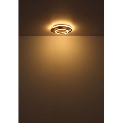 Globo - Plafonnier LED/24W/230V
