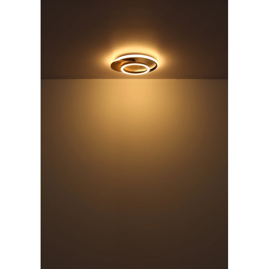 Globo - Plafonnier LED/24W/230V