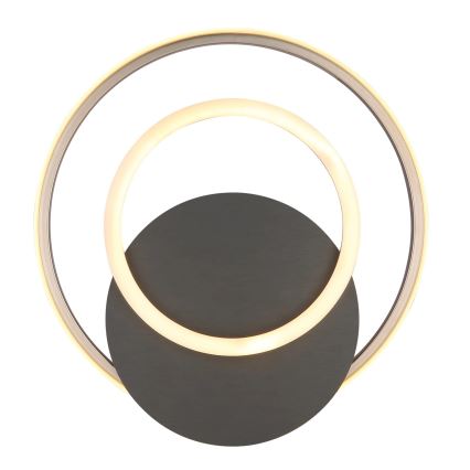 Globo - Plafonnier LED/24W/230V