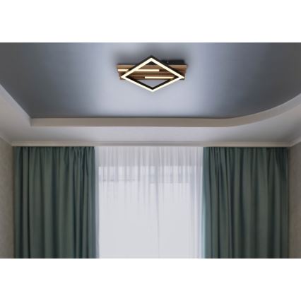 Globo - LED-Deckenleuchte LED/12W/230V + LED/7W 3000K 31x33 cm