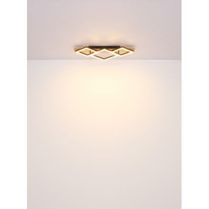 Globo - Plafonnier LED/32W/230V 3000K 31x61cm