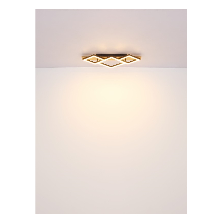 Globo - Plafonnier LED/32W/230V 3000K 31x61cm