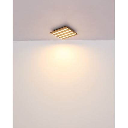 Globo - LED-Deckenleuchte LED/15W/230V 3000K 30x30 cm