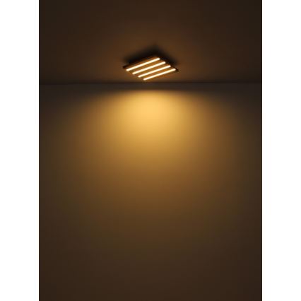 Globo - Plafonnier LED/30W/230V 3000K 45x45 cm bois