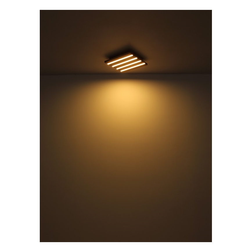 Globo - Plafonnier LED/30W/230V 3000K 45x45 cm bois