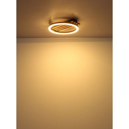 Globo - Plafonnier LED/12W/230V 3000K 30x34 cm