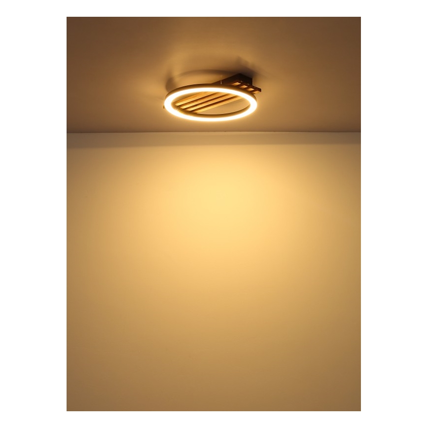 Globo - Plafonnier LED/12W/230V 3000K 30x34 cm
