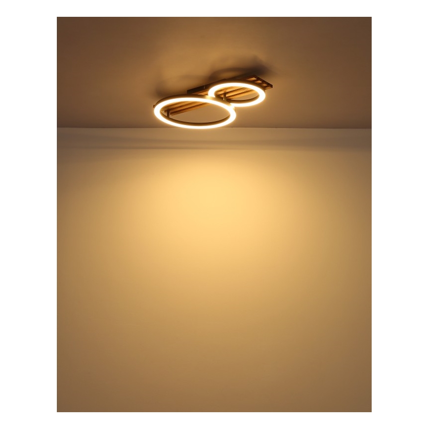 Globo - LED-Deckenleuchte LED/18W/230V 3000K 30x48 cm