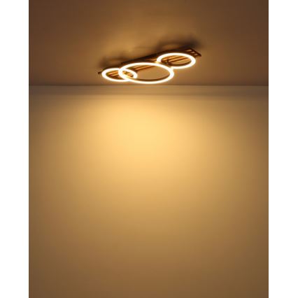 Globo - Plafoniera LED LED/24W/230V 3000K 30x62 cm