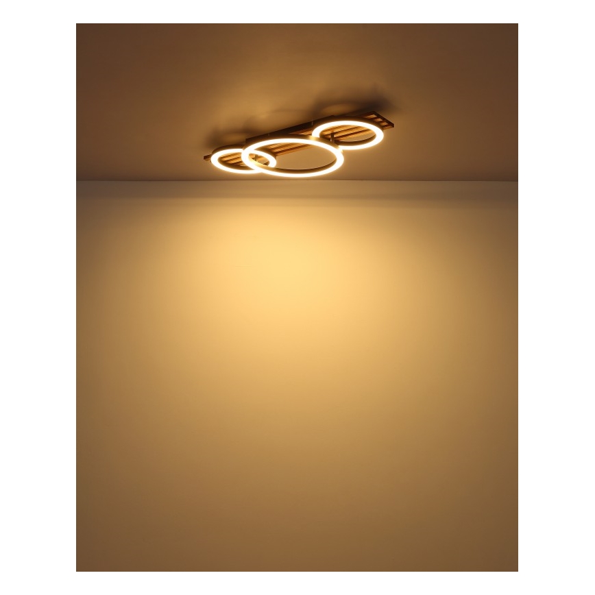Globo - Plafoniera LED LED/24W/230V 3000K 30x62 cm