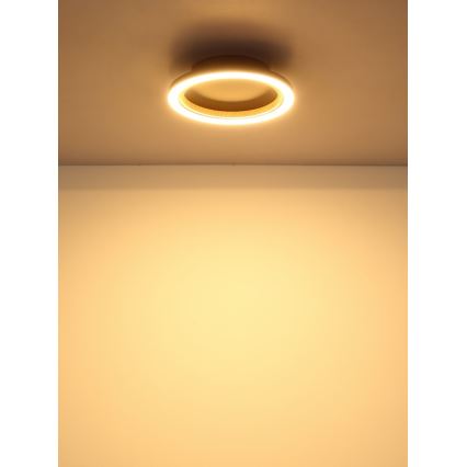Globo - LED-Deckenleuchte LED/12W/230V 3000K Ø 20,5 cm