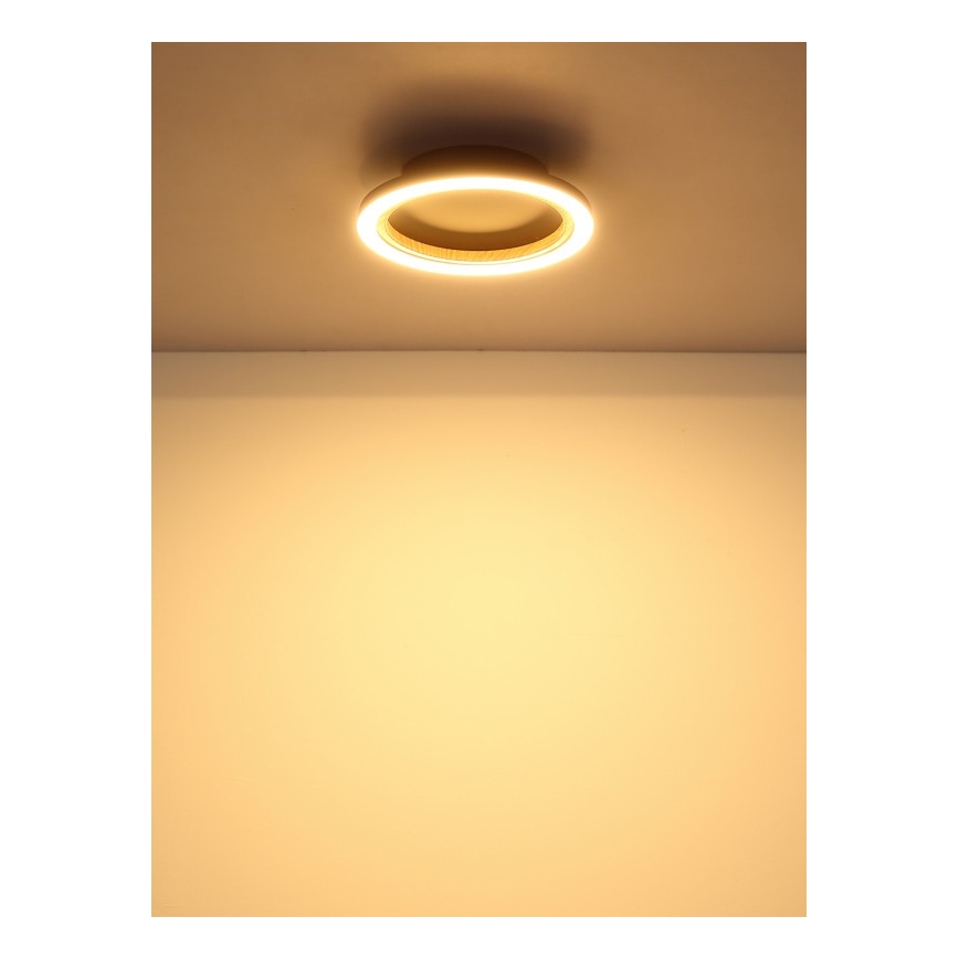 Globo - LED-Deckenleuchte LED/12W/230V 3000K Ø 20,5 cm