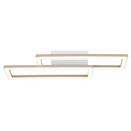 Globo - LED Deckenleuchte LED/16W/230V 3000/4000/6000K