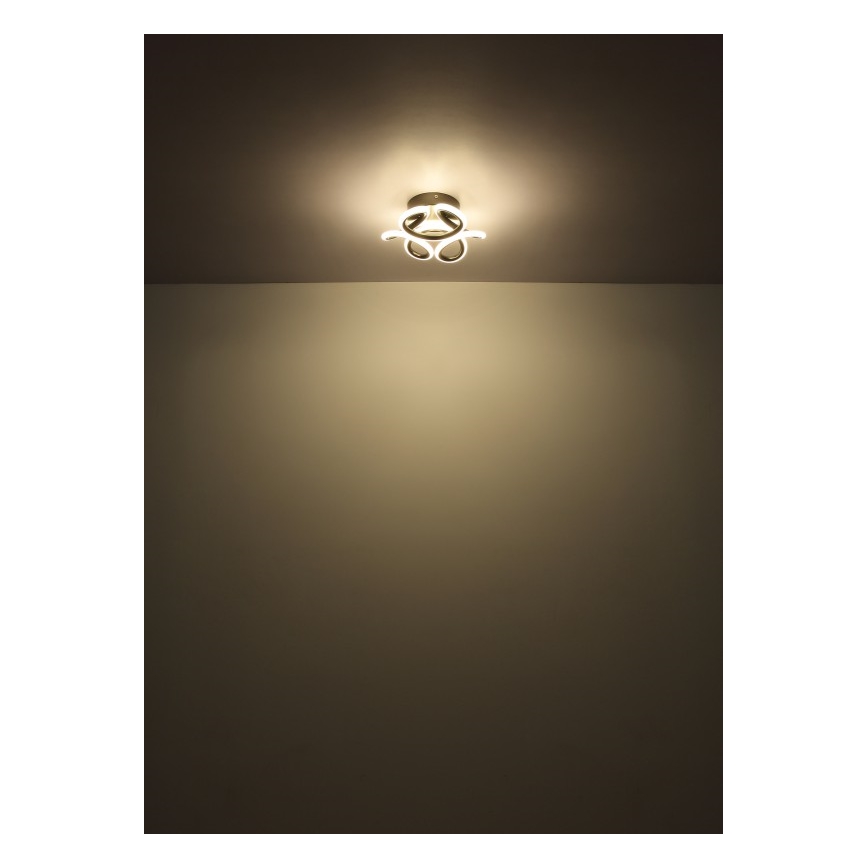 Globo - Plafonnier LED/24W/230V 2700/4000/6000K d. 26 cm noir