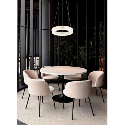 Globo - Lampadario LED dimmerabile a sospensione su cavo LED/24W/230V 2700-6000K trasparente + telecomando