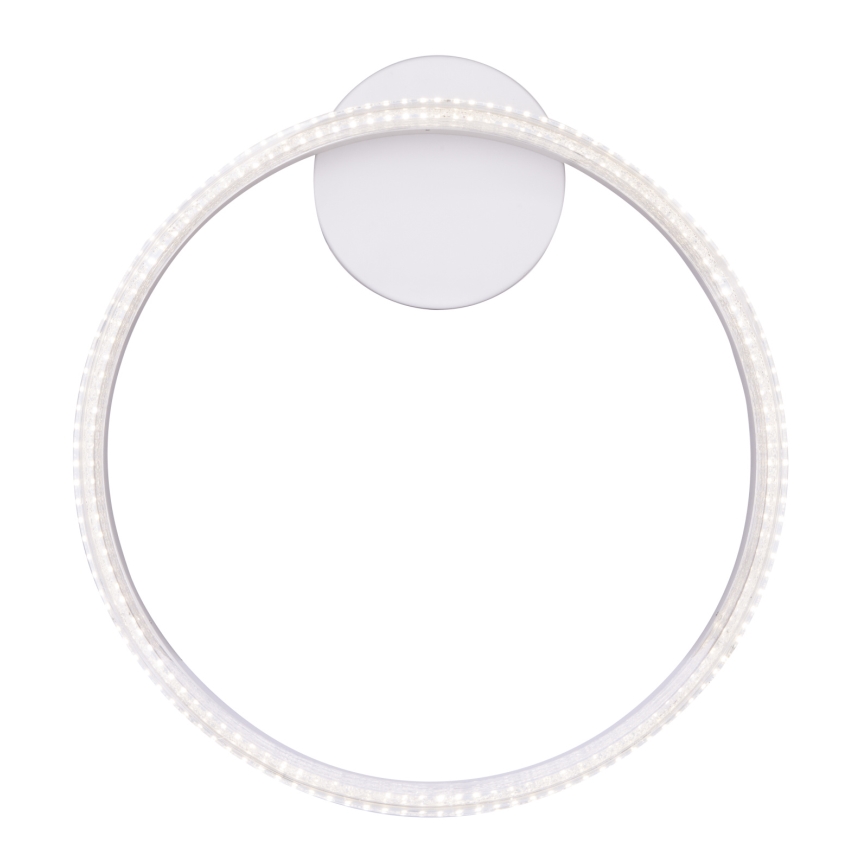 Globo - Plafoniera LED LED/24W/230V