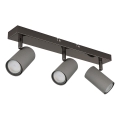Globo - Deckenspot 3xGU10/35W/230V