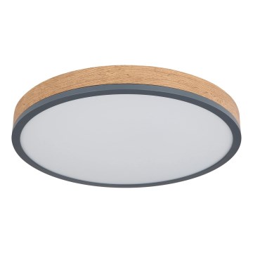 Globo - Dimmbare LED-Deckenleuchte LED/24W/230V 3000-6500K Ø 45 cm