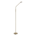 Globo - Lampadaire LED tactile dimmable LED/6,5W/230V 2700/3350/4000K laiton