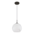 Globo - Lampadario a sospensione con cavo 1xE27/60W/230V Ø 25 cm