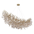 Globo - Lampadario sospeso su cavo 16xE14/40W/230V, finitura oro