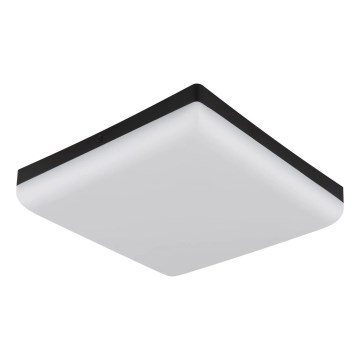Globo - LED-Deckenleuchte LED/12W/230V 4000K 22x22 cm schwarz
