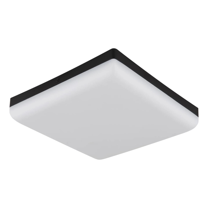 Globo - LED-Deckenleuchte LED/12W/230V 4000K 22x22 cm schwarz
