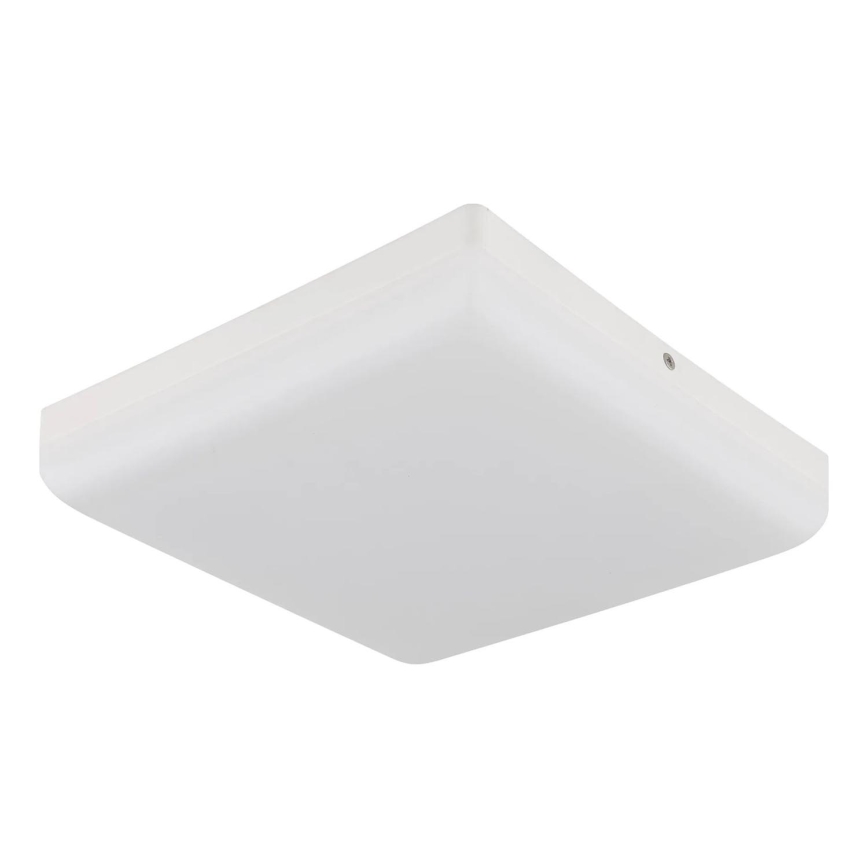 Globo - LED-Deckenleuchte LED/12W/230V 4000K 22x22 cm weiß