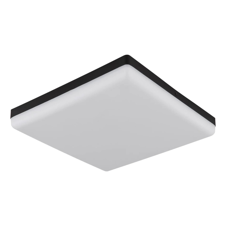 Globo - LED-Deckenleuchte LED/18W/230V 4000K 30x30 cm schwarz